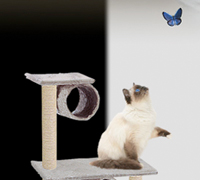 Vignette - Lien vers Scrés de Birmanie